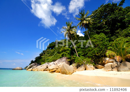 Tropical Island 11892406
