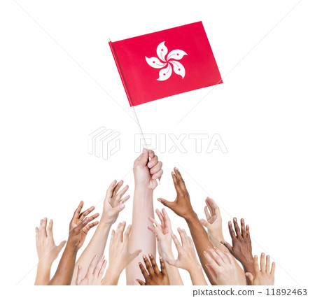 Group of multi-ethnic people reaching for and holding the flag o 11892463