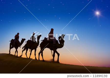 Three Wise Men 11894130