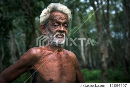 Mature Sri Lankan Man 11894507