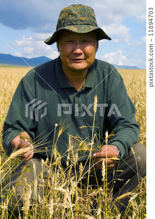 Agriculture in Mongolia 11894703