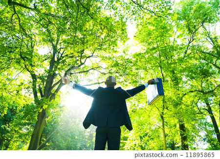 Business Relaxation 11895865