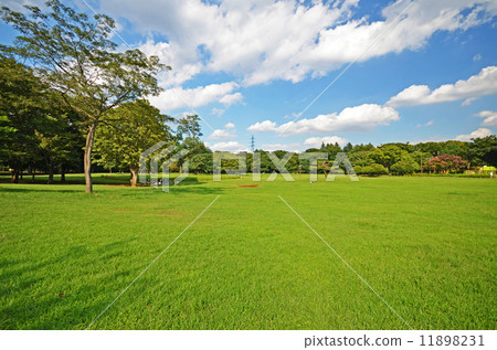 Koganei Park Koganei Park 11898231