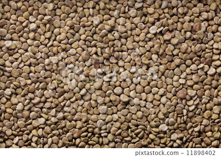 Hembugusa (Wang Jiangnan) 11898402