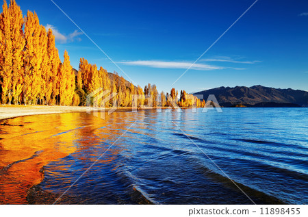 Lake Wanaka, New Zealand Lake Wanaka, New Zealand 11898455