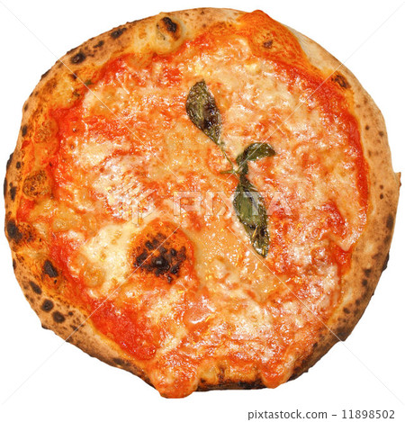 Mushroom Pizza 11898502