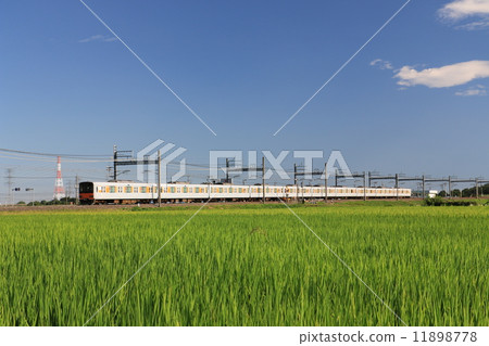 Scenery of the Tobu Tojo Line running in the countryside 11898778