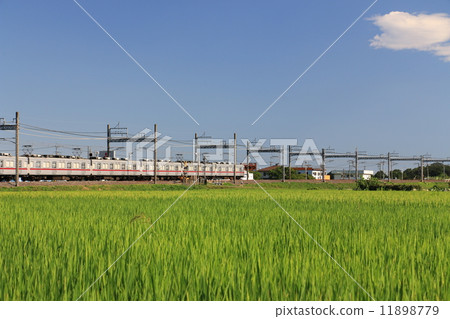 Scenery of the Tobu Tojo Line running in the countryside 11898779