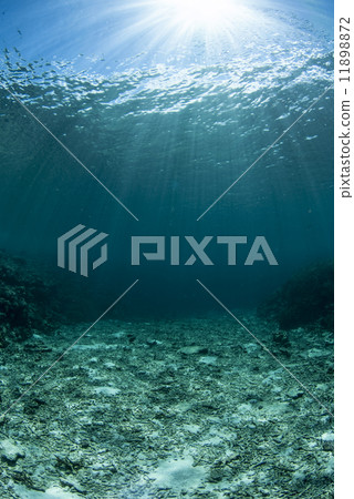 Light into the white ocean floor 11898872