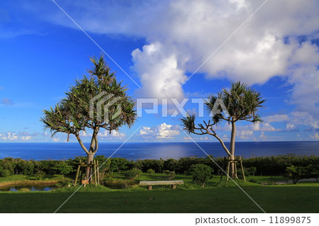 Okinawa's sky and sea 11899875