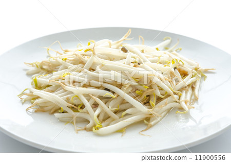 stir fry bean sprout stir fry bean sprout 11900556