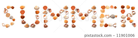 S U M M E R text composed of seashells S U M M E R text composed of seashells 11901006