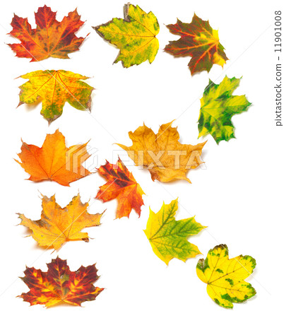 Letter R composed of autumn maple leafs Letter R composed of autumn maple leafs 11901008