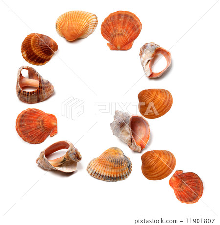Letter Q composed of seashells Letter Q composed of seashells 11901807