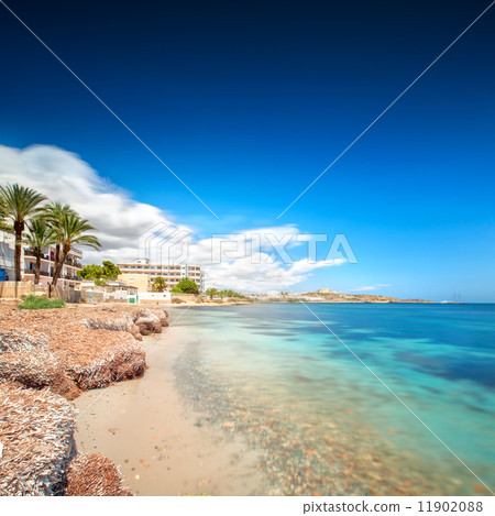 Paradise beach in Ibiza island with blue sky 11902088