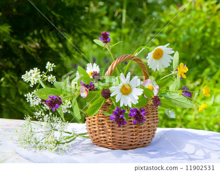 Basket with wildflowers 11902531