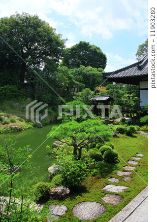 Both legs Both legs 11903280