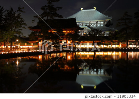 Todaiji大佛寺和鏡子池塘 11903334