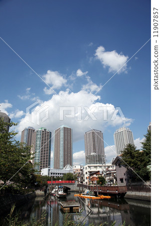 津田島景觀 11907857