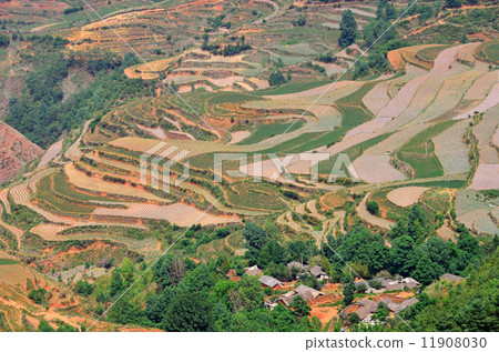 Terraced rice terrace Terraced rice terrace 11908030