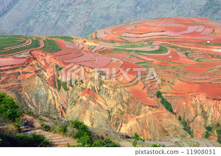 Red land of the Okuma groove Red land of the Okuma groove 11908031