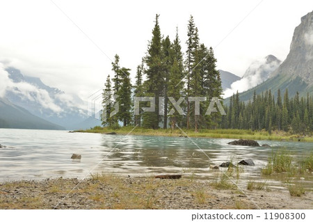 At Jasper National Park Marine Lake 11908300