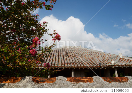 Old private house with red tile roof 11909093