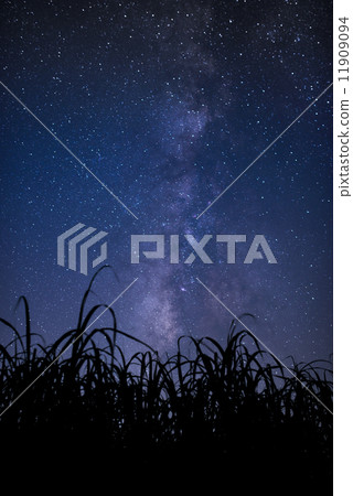 Starry sky and sugarcane field of Okinawa 11909094