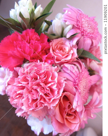 Bouquet Pink 11909201