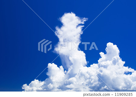 沖繩的天空·冰雲和藍天 沖繩的天空·冰雲和藍天 11909285
