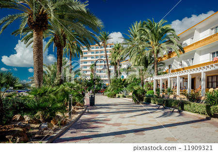 Ibiza seafront Ibiza seafront 11909321