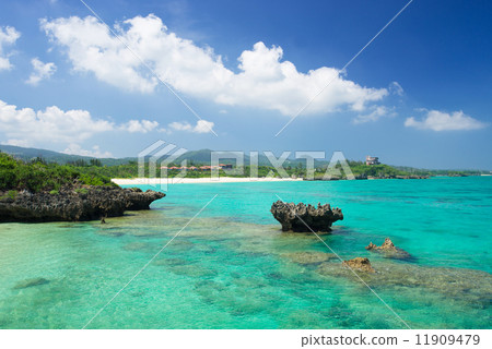 沖繩·今歸仁村的海 11909479