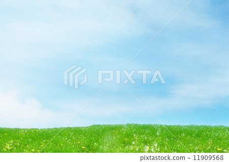Prairie 11909568