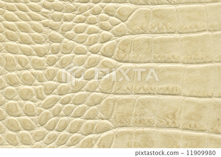 beige crocodile leather texture 11909980