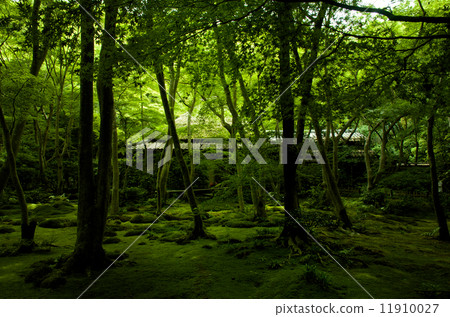 新鮮的綠色寺廟 11910027