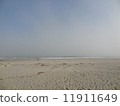 Omotehama Coast (sandy beach) 11911649