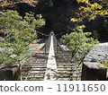 Suspension bridge of a dream (small or narrow) 11911650