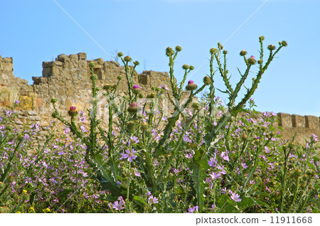 Medieval castle 11911668