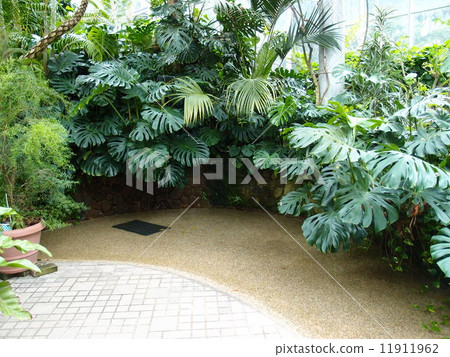 神戶海埠花園(玻璃屋) 神戶海埠花園(玻璃屋) 11911962