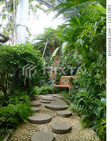 Kobe Haibu Garden (in the glass house) Kobe Haibu Garden (in the glass house) 11911965