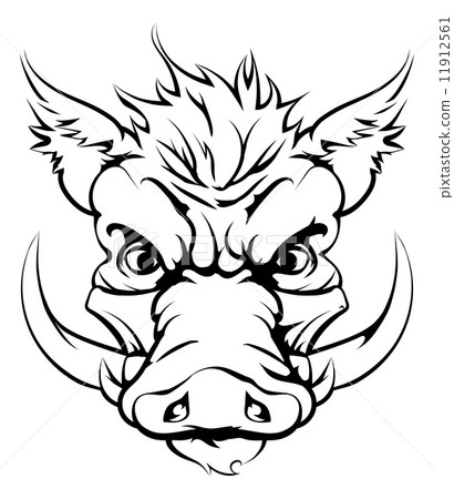 Boar sports mascot head 11912561