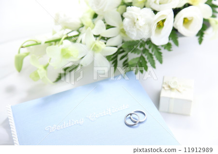 婚禮婚禮圖像 11912989