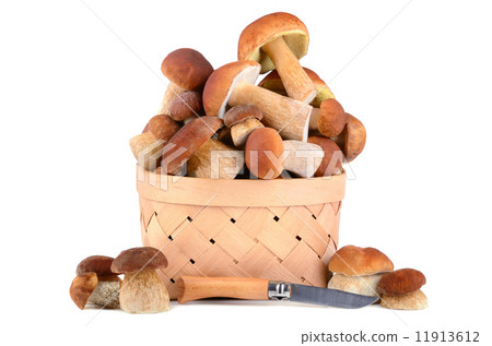 Mushrooms in a basket Mushrooms in a basket 11913612