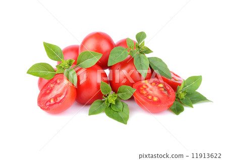 Basil and tomatoes 11913622