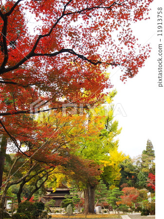 Nagoji寺廟在秋天 Nagoji寺廟在秋天 11913758