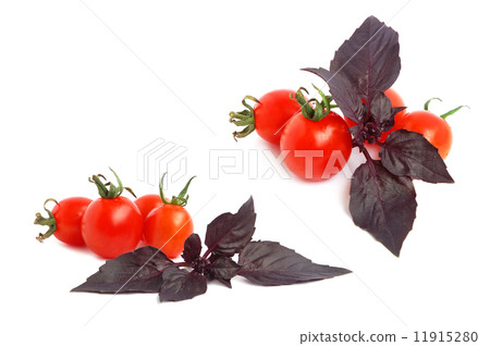 Basil and tomatoes 11915280