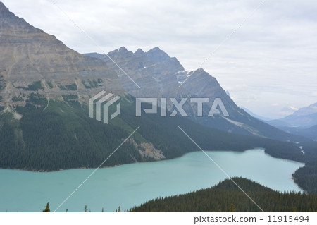 Banff National Park Peyto Lake Banff National Park Peyto Lake 11915494
