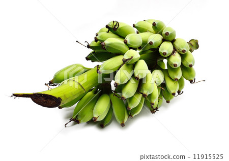 Green banana from organic farm Green banana from organic farm 11915525