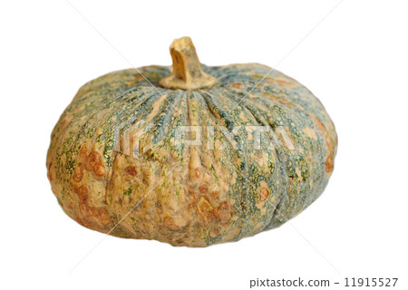 Pumpkin isolated on white background 11915527