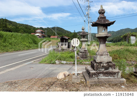 Living bus stop Living bus stop 11915848